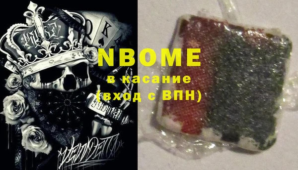 индика Алзамай