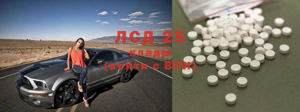 индика Алзамай