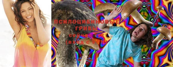 индика Алзамай
