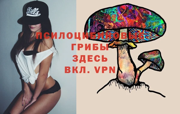 индика Алзамай