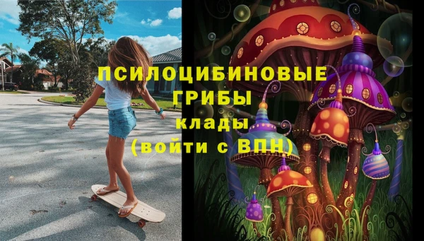 синтетический гашиш Алексин