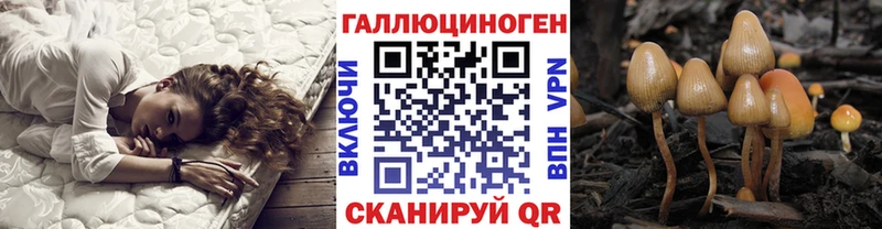 Псилоцибиновые грибы прущие грибы  ОМГ ОМГ вход  Самара  дарнет шоп 